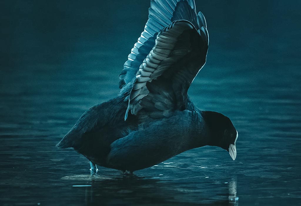 photography3-details-pic2