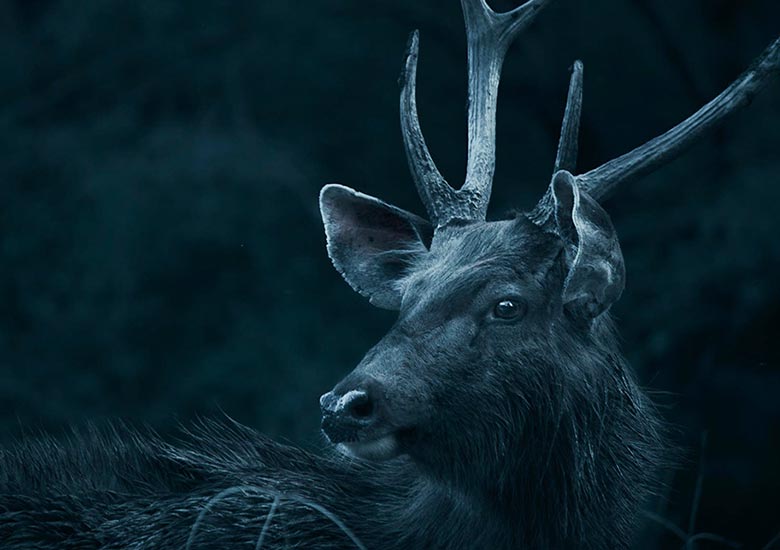 photography3-portfolio-pic9